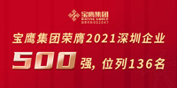 寶鷹集團入圍2021深圳500強企業(yè)，位列136名